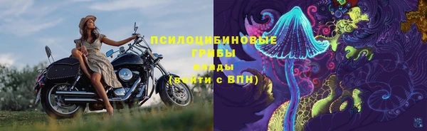 ешки Алексин