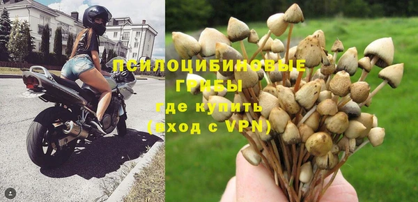 mdpv Алзамай