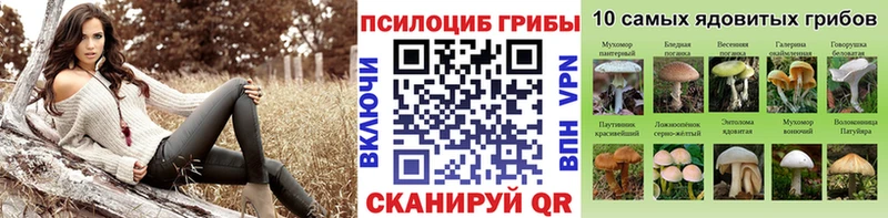 Галлюциногенные грибы Psilocybine cubensis  закладки  Уяр 