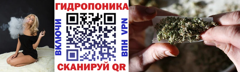darknet какой сайт  ОМГ ОМГ вход  Уяр  Бошки марихуана THC 21% 